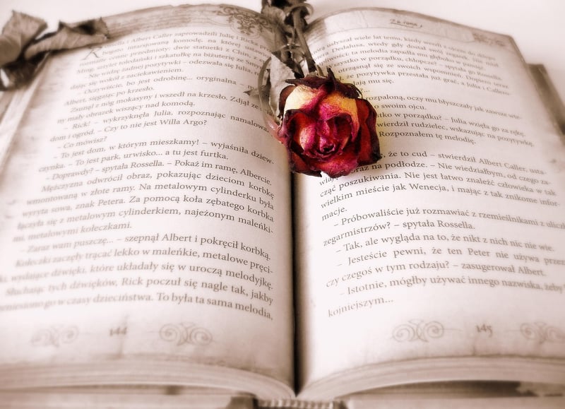 Woman reading a book